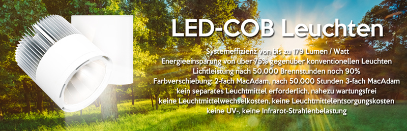 Energieeffiziente-Beleuchtung-mit-LED-COB-Leuchten-von-Lecar-800